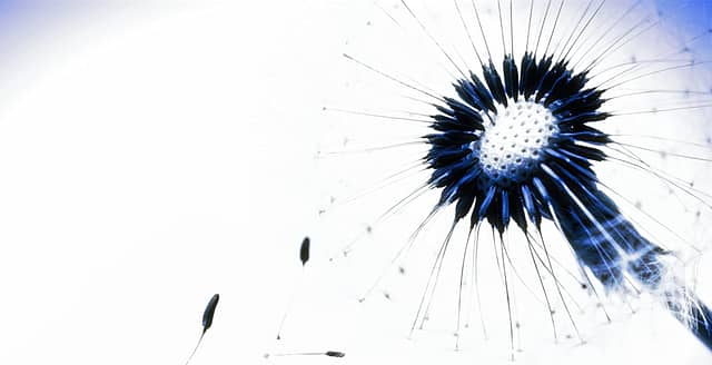 Psykolog i Oslo sentrum | Kognitiv terapi | Psykolog Pål Erik Gulliksrud | Angst | Depresjon