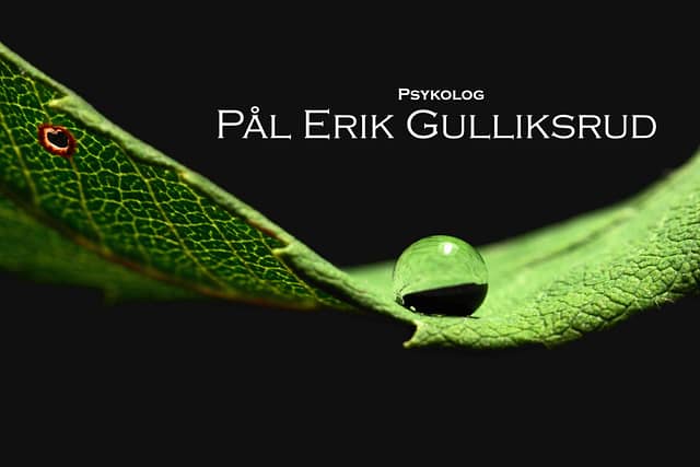 Psykolog Pål Erik Gulliksrud | Psykolog i Oslo sentrum | Kognitiv terapi | Angst | Depresjon | Kriser